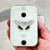 Notions tin with optional dividers