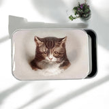 Notions tin with optional dividers