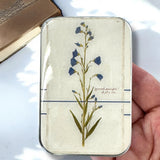 Notions tin with optional dividers
