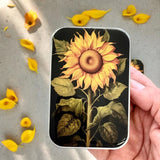 Notions tin with optional dividers