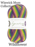 West Yorkshire Spinners Signature 4 ply