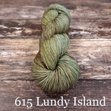 Fyberspates Vivacious 4 ply