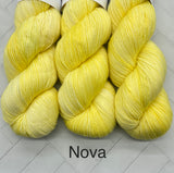 Circus Tonic Handmade Fete Sock Fingering