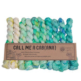Emma's Yarn Mini Skein Sets