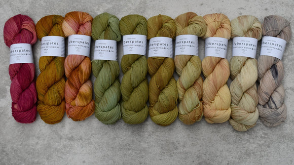 Fyberspates Vivacious 4 Ply Botanical