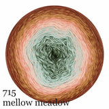Scheepjes Cotton Whirl
