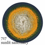 Scheepjes Cotton Whirl