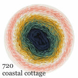 Scheepjes Cotton Whirl