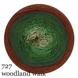 Scheepjes Cotton Whirl