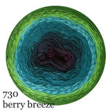 Scheepjes Cotton Whirl