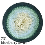 Scheepjes Cotton Whirl