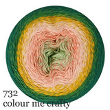 Scheepjes Cotton Whirl