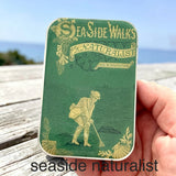 Firefly Notes notions tin with optional dividers