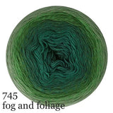Scheepjes Cotton Whirl
