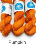 Bellevue Park Wool 100% Superfine Merino 8 ply