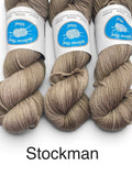 Bellevue Park Wool 100% Superfine Merino 8 ply
