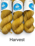Bellevue Park Wool 100% Superfine Merino 8 ply