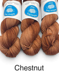 Bellevue Park Wool 100% Superfine Merino 8 ply