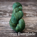 Fyberspates Gleem Lace